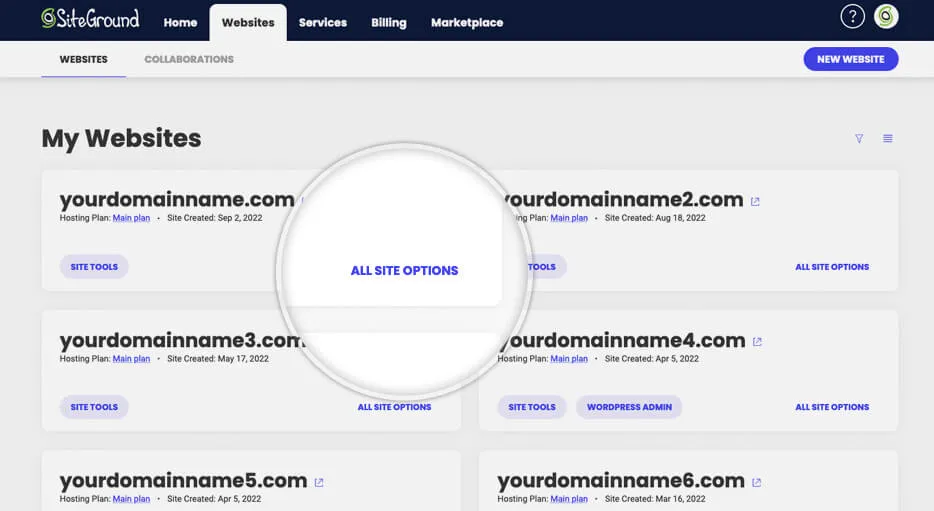 How to Point Domain to SiteGround